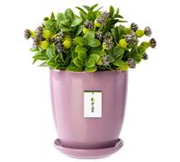 Pot de fleurs à fleurs avec soucoupe ronde 6 tailles et 12 couleurs céramique