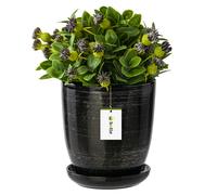 Pot de fleurs à fleurs avec soucoupe ronde 6 tailles et 12 couleurs céramique