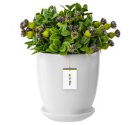 Pot de fleurs à fleurs avec soucoupe ronde 6 tailles et 12 couleurs céramique