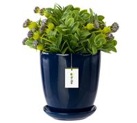 Pot de fleurs à fleurs avec soucoupe ronde 6 tailles et 12 couleurs céramique
