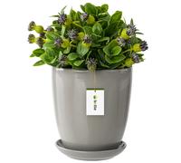 Pot de fleurs à fleurs avec soucoupe ronde 6 tailles et 12 couleurs céramique