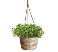 Pot de Fleurs à Suspendre en Corde de Jute, Suspendu Panier Tissé, Pots de Plantes, Jardinière Suspendue en Corde, Panier Jardinière Suspendue Pot pour Plantes, Intérieure ou Extérieure(Herbe de Mer)