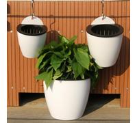 Pot de fleurs à suspendre en résine plastique pour jardin mural vertical avec réservoir transparent auto-arrosant pour intérieur et extérieur (130#blanc)