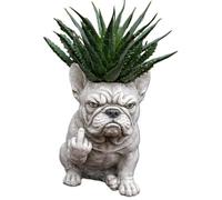Pot De Fleurs Amusant en Forme De Bouledogue Français, Statue De Chien Amusante for Décoration De Jardin Vase Succulent en Résine Fabriqué À La Main avec Trou De Drainage(Style 2)