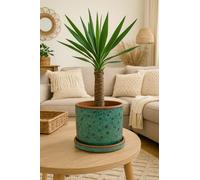 Pot de fleurs « Aqua Dune » - En céramique fait à la main - Avec soucoupe - Forme cylindrique - Pour l'intérieur - Avec trou d'écoulement - Diamètre : 14,5 cm - Turquoise