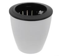 Pot de fleurs avec système d'arrosage automatique et corde en coton pour livraison automatique de nutriments aux plantes (M)