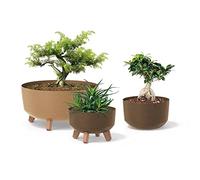 Pot à fleurs Gracia Low Eco Wood DGRL400LW-4625W Prosperplast - Couleur café ECO 14,3L