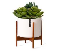 Blumfeldt Pot de fleurs Thorn avec support Style années 50 2 tailles
