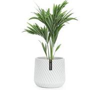 Pot de fleurs Blumfeldt Fox & Fern Heusden fait à la main- en polystone - 20 cm - Blanc mat G