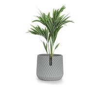 Pot de fleurs - BLUMFELDT - Fox & Fern Heusden - Polystone - 20 cm - Gris - Avec réserve d'eau - Percé
