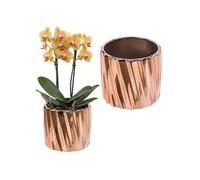 Pot De Fleurs - Botle - Glamour Gloss - Céramique - Rose Gold - Ø13.5cm Multicolore