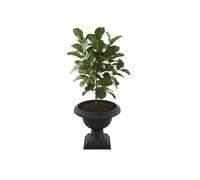 Pot De Fleurs - Botle - Jardinière Décorative Sur Pied - Ø 47 Cm - Graphite - Plastique Durable Multicolore
