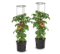 Pot de fleurs - BOTLE - Lot de 2 - 28 L - Résistant aux intempéries - Avec réserve d'eau