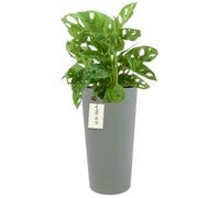 Pot de fleurs - BOTLE - Modèle rond - Ø 25 cm - H 48 cm - Gris élégant à rayures verticales