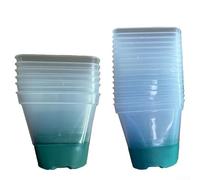 Pot de fleurs carré en plastique transparent avec base en silicone réutilisable pour plantes grasses, herbes, décoration de jardin d'intérieur (vert 6)