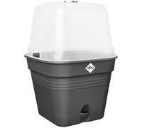 Pot de fleurs carré - plastique - réservoir - ø 20 - noir Elho