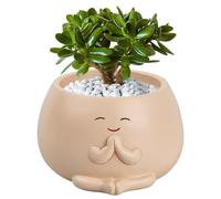 Pot de Fleurs de Jardin, Pots de Succulentes Visage Souriant, Pots Succulents Smile Face Portable avec Trou de Drainage, Pot de Fleurs en Résine Décoration d'Intérieur pour Jardin, École, Maison