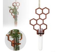 Pot de fleurs décoratif pour tube à essai en nid d'abeille, montage mural avec design creux et construction en bois et plastique, décoration élévatrice dans les maisons, les bureaux et les balcons