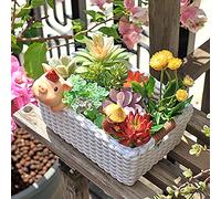 Pot de fleurs d'intérieur et d'extérieur en résine en forme d'animal mignon pour la maison, le bureau, le jardin, la décoration de petit cochon