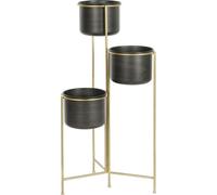 Pot de fleurs DKD Home Decor 30 x 21 x 80 cm Noir Or Métal