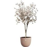 Elho Sereh Round 47 - Pot de Fleur - Interieur & Extérieur - Plastique 100% Recyclé - Ø 47.0 x H 40.1 cm - Marron/Argile Froide