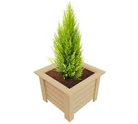 Pot de Fleurs en Bois Pot de Plantes Caisse en Bois Naturel Pot de Fleurs Herbier Pot de Fleurs en Bois véritable Intérieur Extérieur 40 x 40 x 30 cm