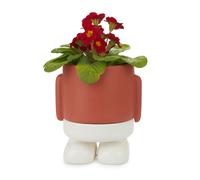 Pot de fleurs en céramique Balvi Mr. Standy Blue