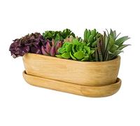 Pot de fleurs en céramique - Bol de cactus - Dessous de verre - Trou d'eau - Cactus - Bonsaï - Ovale - Marron clair
