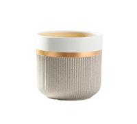 Pot De Fleurs en Céramique Légère De 23 Cm (9 Pouces) avec Bordure Dorée Et Trou De Drainage. Convient pour Les Plantes Dintérieur Et Dextérieur, Les Serres, La Maison Et Beige 21 * 19cm