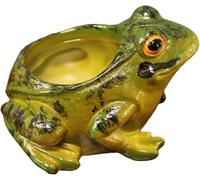 Pot de fleurs en forme de grenouille - Créativité - Micro jardin, balcon, succulente - Simulation de grenouille - Pot de fleurs décoratif pour la maison et le jardin - Rnj652 (vert, 11 cm)