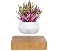 Pot de Fleurs en lévitation pour bonsaï, Pot de Fleurs Rotatif, Pot Flottant à lévitation magnétique, pour décoration de Maison, de Bureau (Couleur Claire)