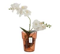 Pot de fleurs, en verre, pour orchidées, pot d'orchidée, 15,5 cm H 18 cm, orange, structure en toile de fissure et d'araignée, grand, avec gestion de l'eau de régulation de la pièce, vase moderne pour