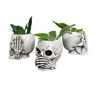 Pot de fleurs es 3 pots de fleurs tête de mort en résine