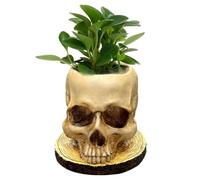 Pot De Fleurs Gothique - Pot De Fleurs En Forme De Tête De Mort, Accessoire