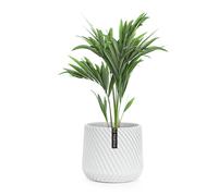 Pot de fleurs Heusden fait à la main, en polystone respectueux des plantes.