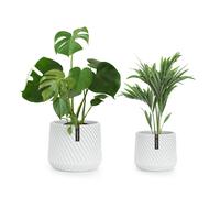 Fox & Fern Pot de Fleur Interieur et Extérieur, Jardinieres Exterieur, Pot Plante Résistant UV et Gel avec Bouchon de Drainage, Polystone, Jardiniere, Pot de Fleur Exterieur Grande Taille, Lot de 2