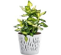 Pot de fleurs + insert pot de plantation cache-pot bac à plantes Sandy rond...