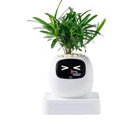 Pot de fleurs intelligent AI Pet Guidance sur l'entretien des plantes, pot pour plantes grasses, pour intérieur, appartement, bureau, salon, chambre à coucher, balcon, terrasse, débutants