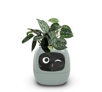 Pot de fleurs intelligent avec 49 expressions, 7 capteurs, écran LCD, contrôle par application - Pot intelligent avec puces IA pour affichage de l'heure, de la date, de la météo