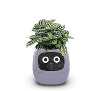 Pot de fleurs intelligent avec 49 expressions, 7 capteurs intelligents, puces AI, écran LCD, contrôle par application, heure, date, informations météorologiques