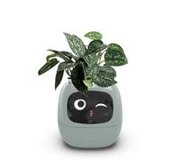 Pot de fleurs intelligent avec capteurs intelligents et puces AI, écran LCD, contrôle par application pour un soin optimal des plantes, 49 expressions