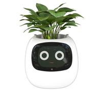 Pot de fleurs intelligent avec capteurs intelligents, puces IA, écran LCD et contrôle par application - Jardinière intelligente pour plantes d'intérieur