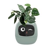 Pot de fleurs intelligent avec expression, robot intelligent AI pour décoration d'intérieur, pot de fleurs Inteligente avec capteur d'eau/lumière/température, robot de plantes, rend l'élevage de