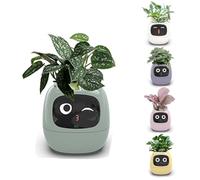 Pot de fleurs intelligent avec puces AI, 7 capteurs, écran LCD et contrôle par application pour le jardinage à domicile, affichage de l'heure, de la date et de la météo