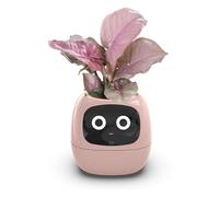 Pot de fleurs intelligent avec technologie AI, 7 capteurs pour une croissance optimale, écran LCD pour l'heure, la date, la météo, contrôle par application pour le jardinage intérieur