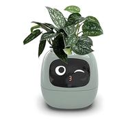 Pot de fleurs intelligent avec technologie AI - Pot de fleurs intelligent avec 7 capteurs intelligents pour un entretien facile des plantes - Idéal pour la maison et les espaces de vie