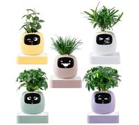 Pot de fleurs intelligent - Instructions d'entretien des - Pot de | Pot de cactus pour intérieur, appartement, salon, chambre à coucher, balcon, terrasse, débutant, anniversaire, Saint-Valentin