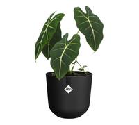 Pot de fleurs - JAZZ - Plastique - Noir - Rond - Ø26xH24cm - 100% récy LHO