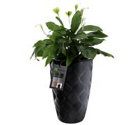 Pot de fleurs KADAX avec insert et poignées, en plastique