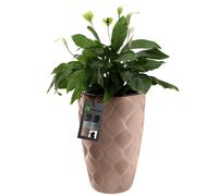 KADAX Pot de Fleurs Haut, Jardinière en Plastique de Grande Taille avec Motif Moderne pour Sublimer Votre Intérieur ou Extérieur, Bac à Fleur (Beige, 48.5 cm)
